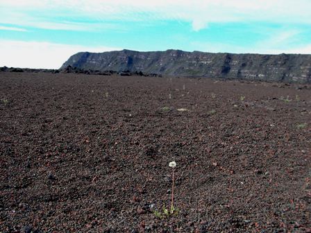 Route du volcan La Runion